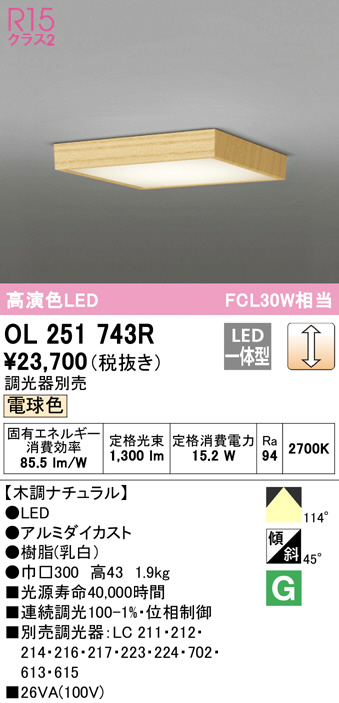 オーデリック ポーチライト 鉄錆色 LED（電球色） OG254039LCR - 4