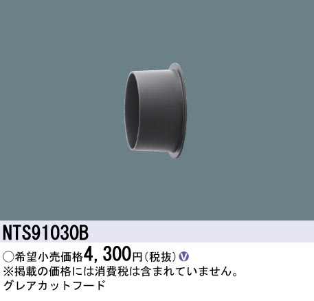 NTS91030B