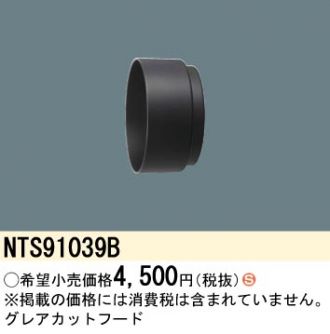 NTS91039B