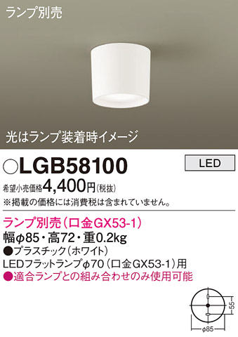 LGB58100