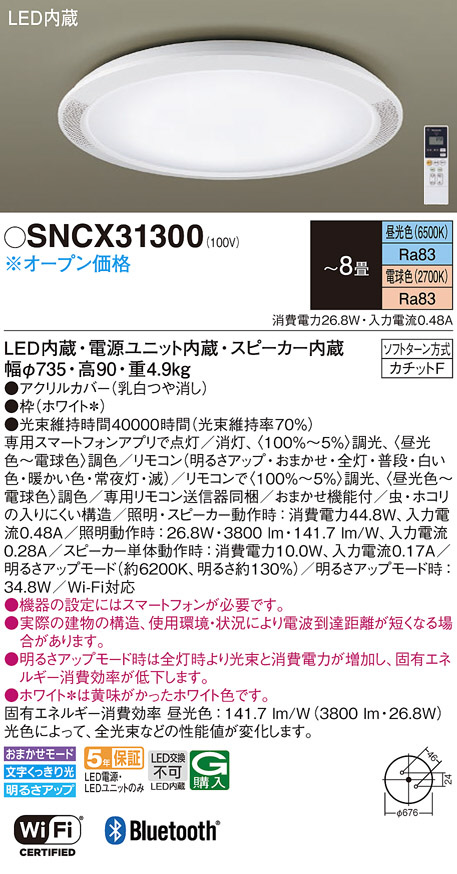 SNCX31300