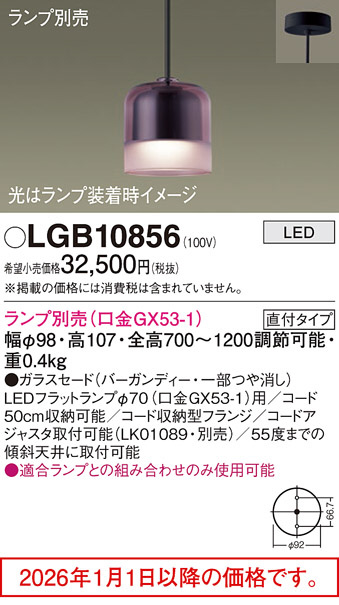 LGB10856
