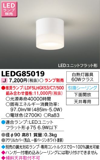 LEDG85019