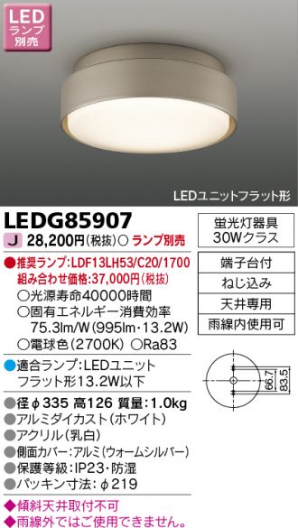 LEDG85907