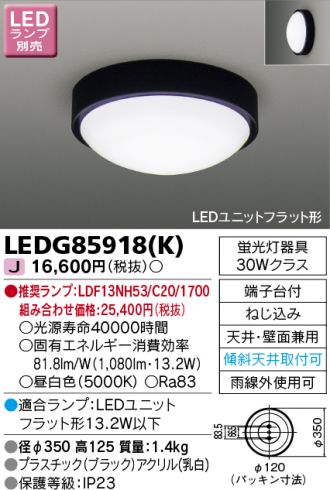 LEDG85918K